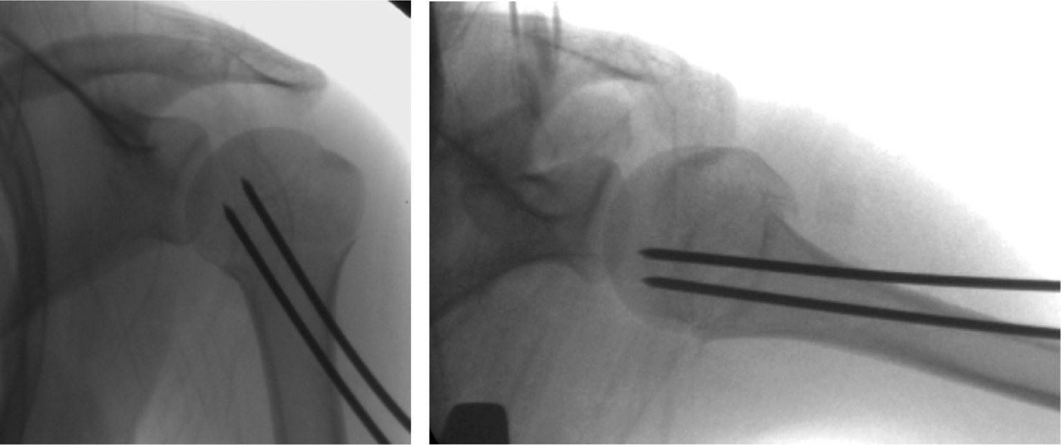 jposna20220039_fig7.jpg