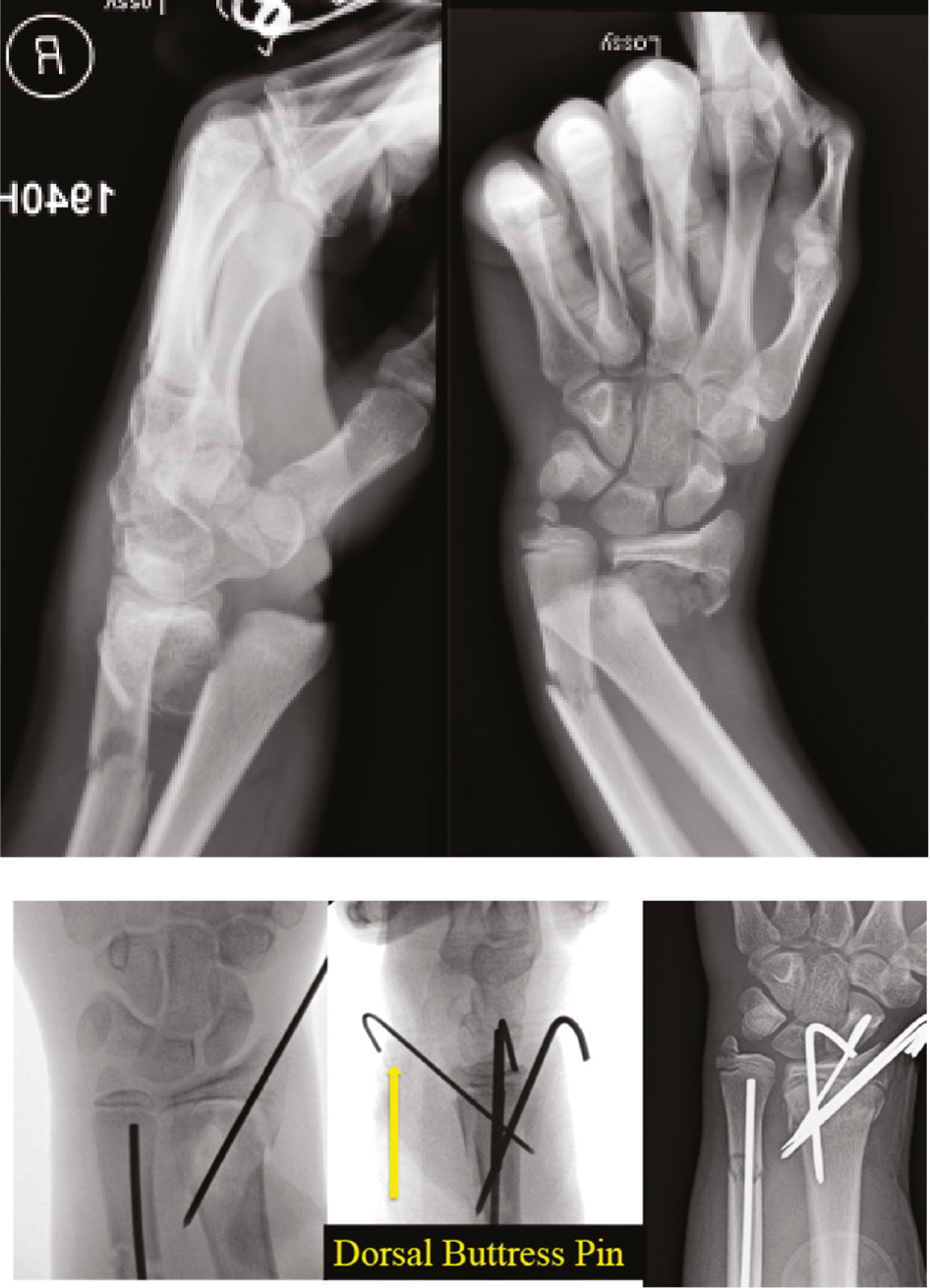 jposna20220039_fig12.jpg
