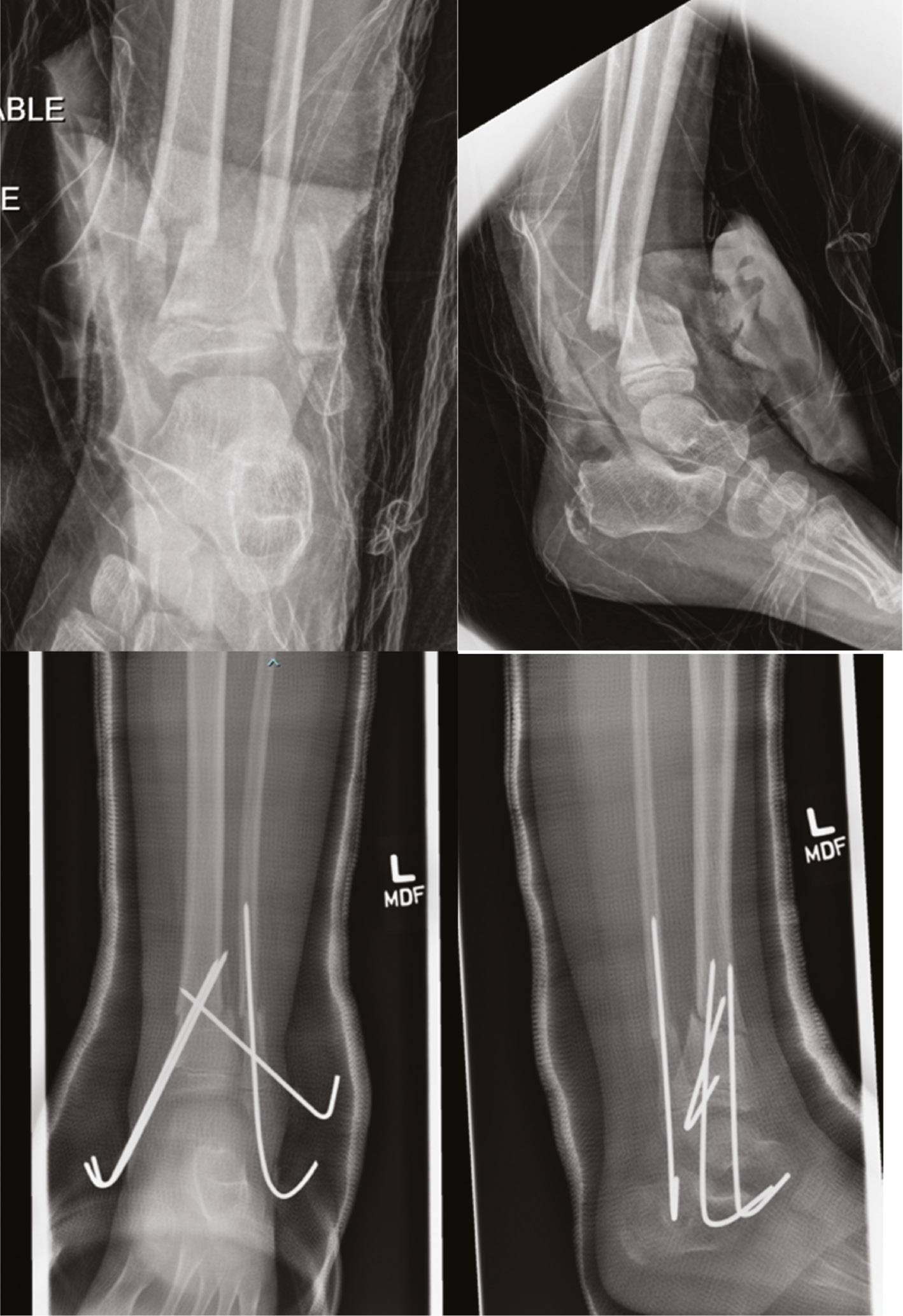 jposna20220039_fig16.jpg