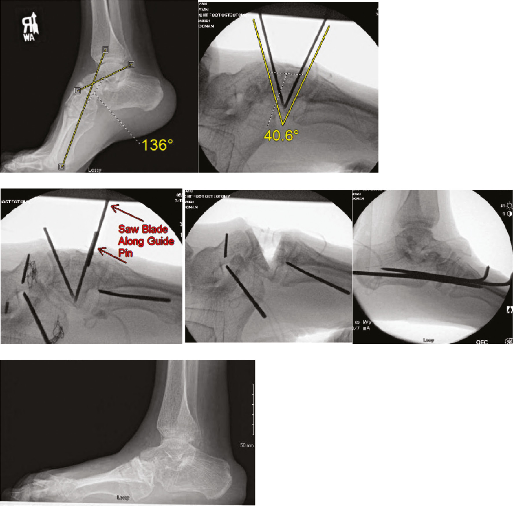 jposna20220039_fig17.jpg