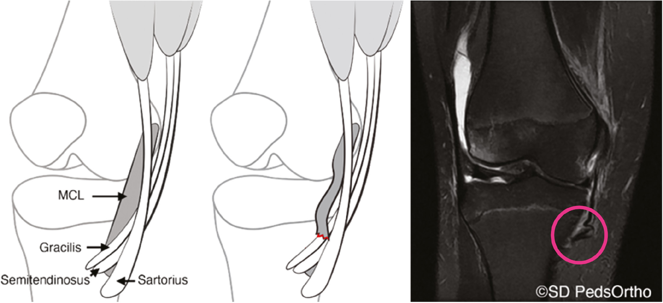 jposna2023757_fig10.jpg