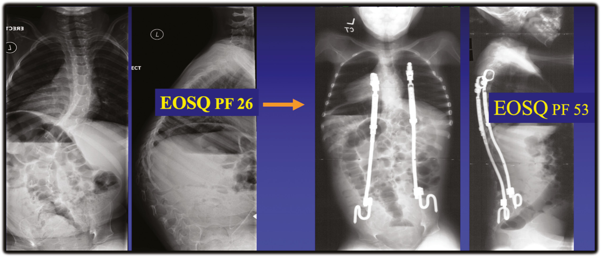 jposna20220006_fig2.jpg