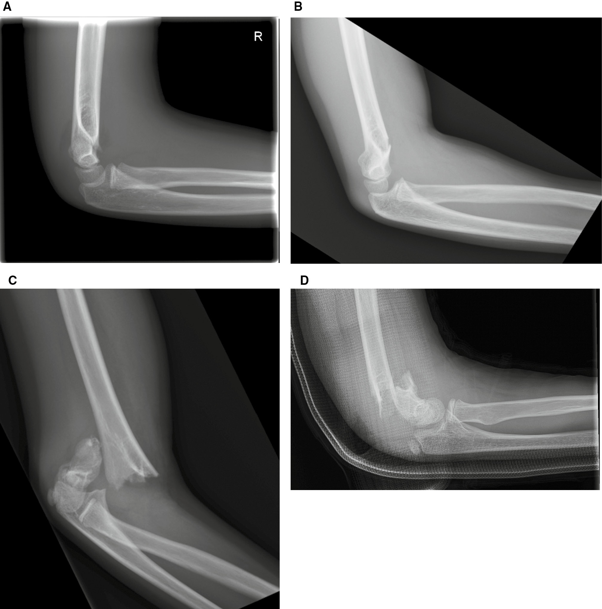 jposna20220020_fig1.jpg