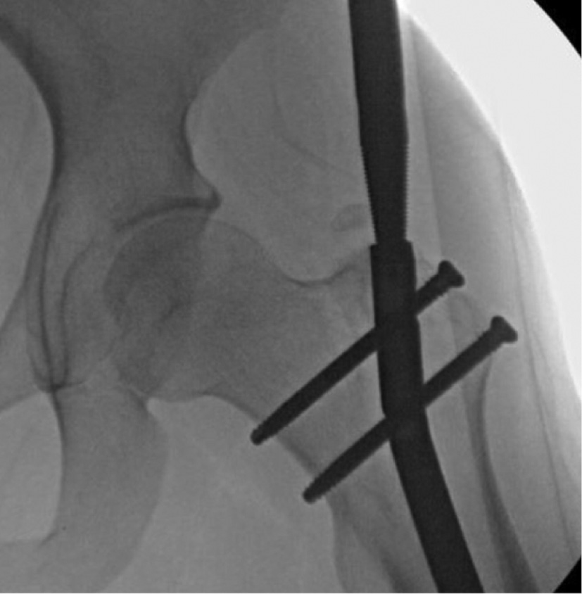 jposna20220031_fig12.jpg