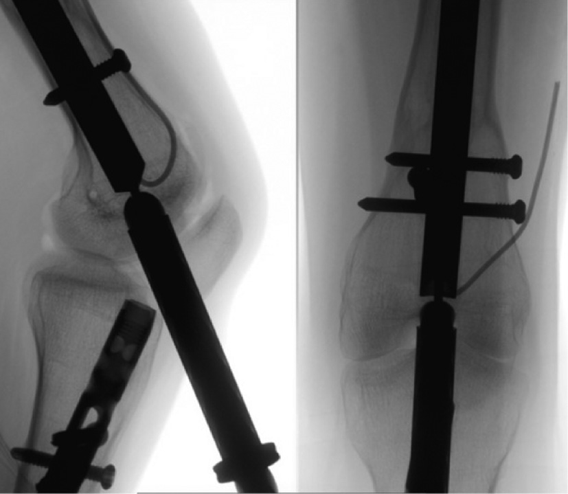 jposna20220031_fig36.jpg