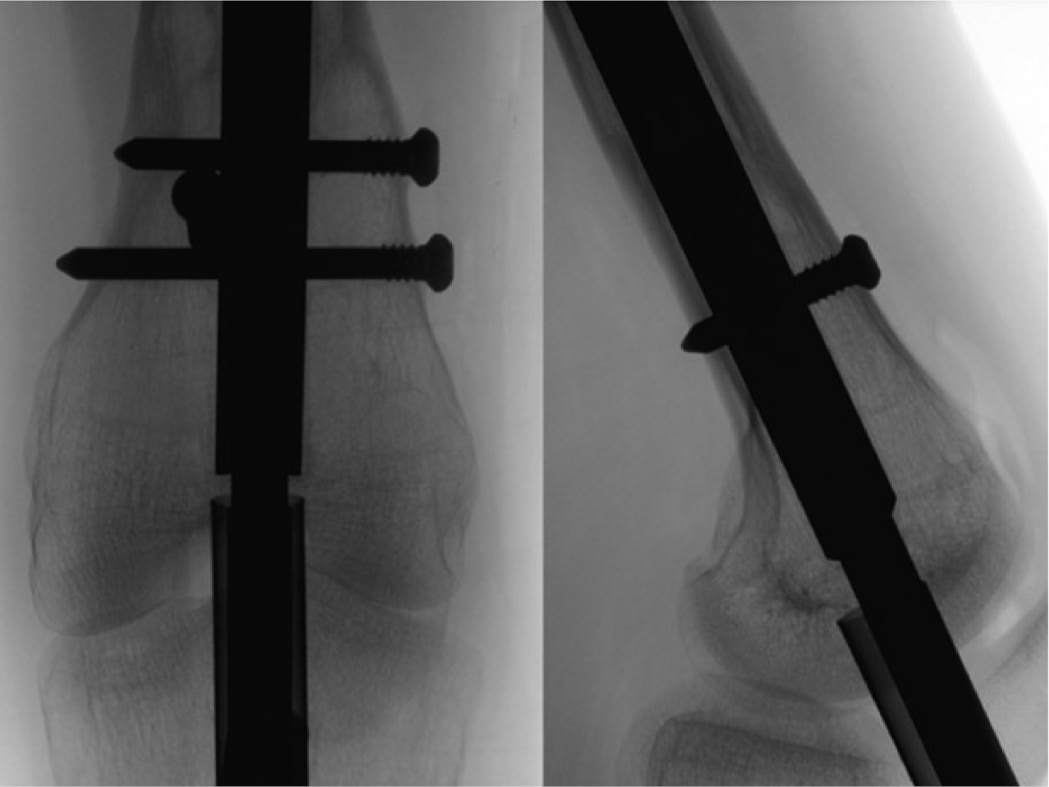 jposna20220031_fig41.jpg