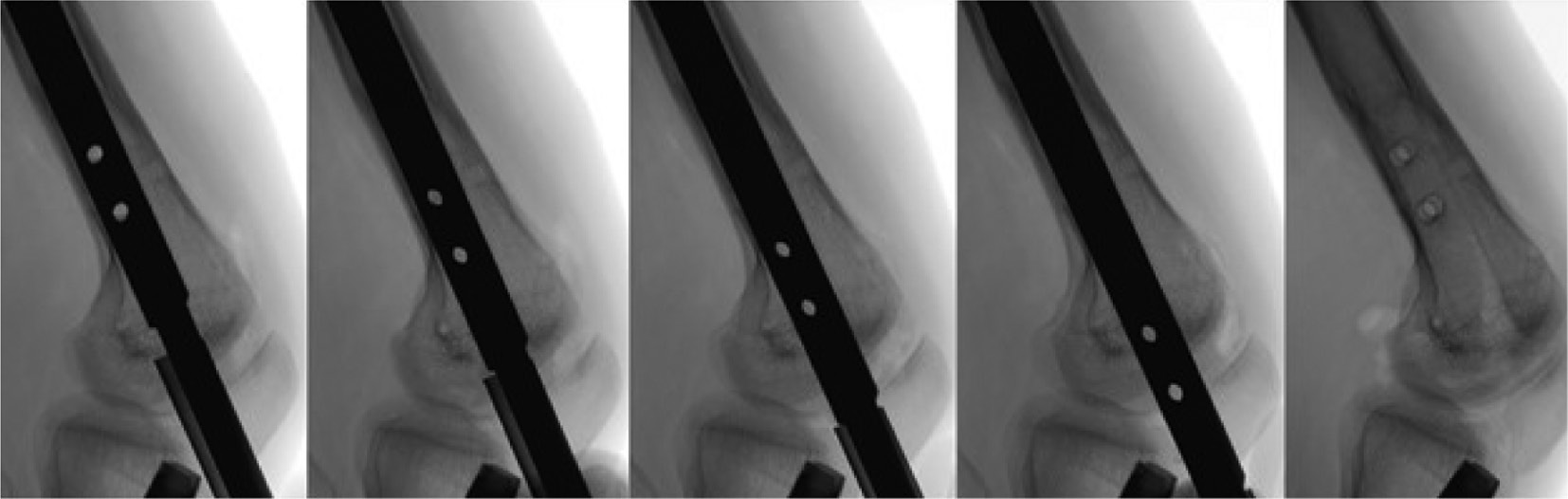 jposna20220031_fig47.jpg
