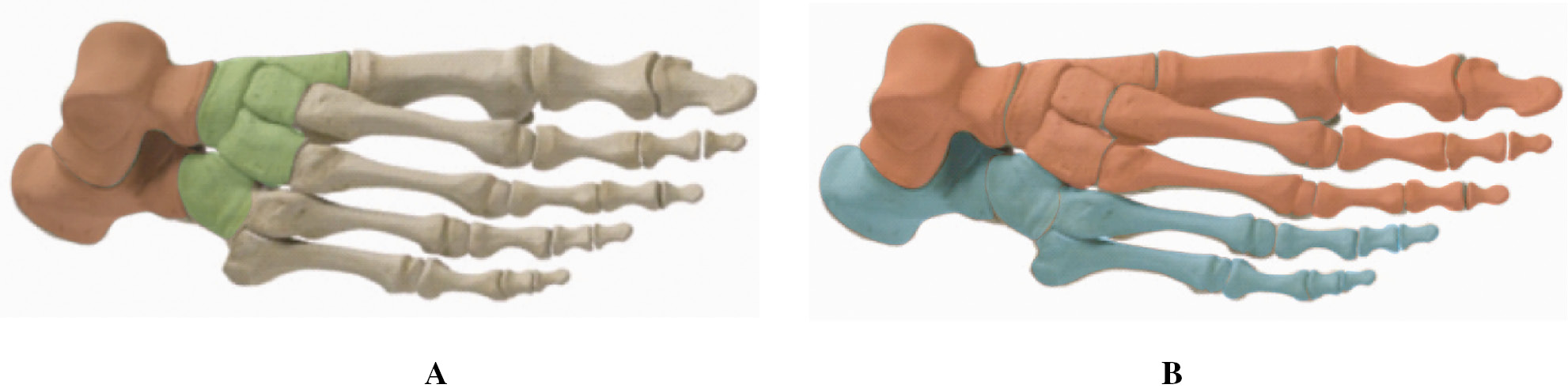 jposna20220028_fig1.jpg