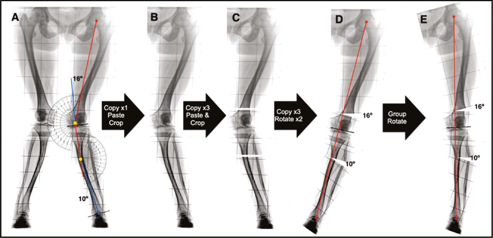 jposna20220066_fig5.jpg