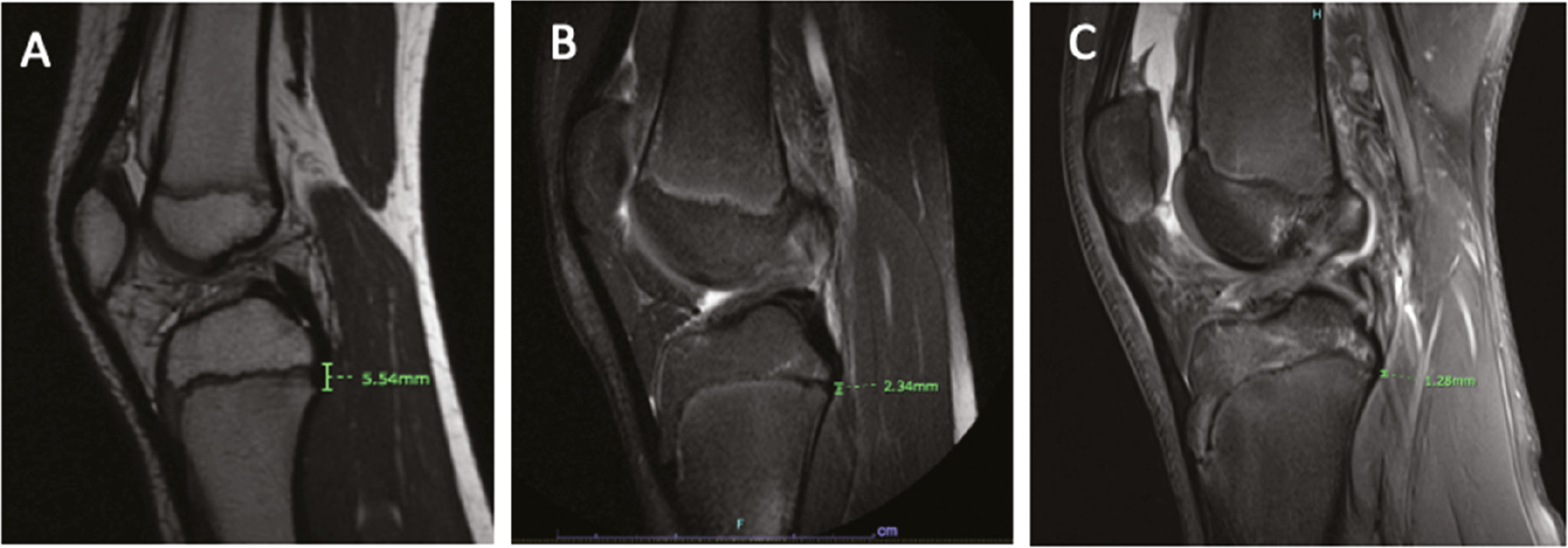 jposna20220085_fig3.jpg