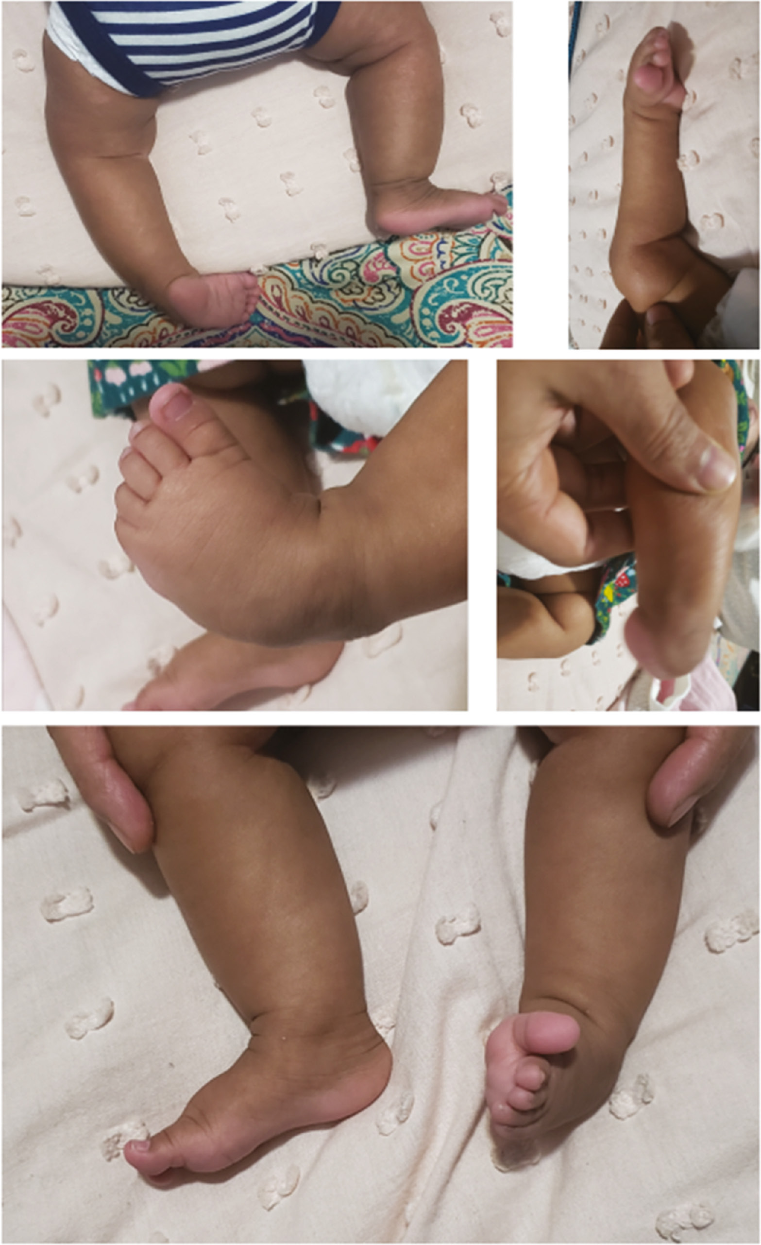 jposna2022492_fig2.jpg