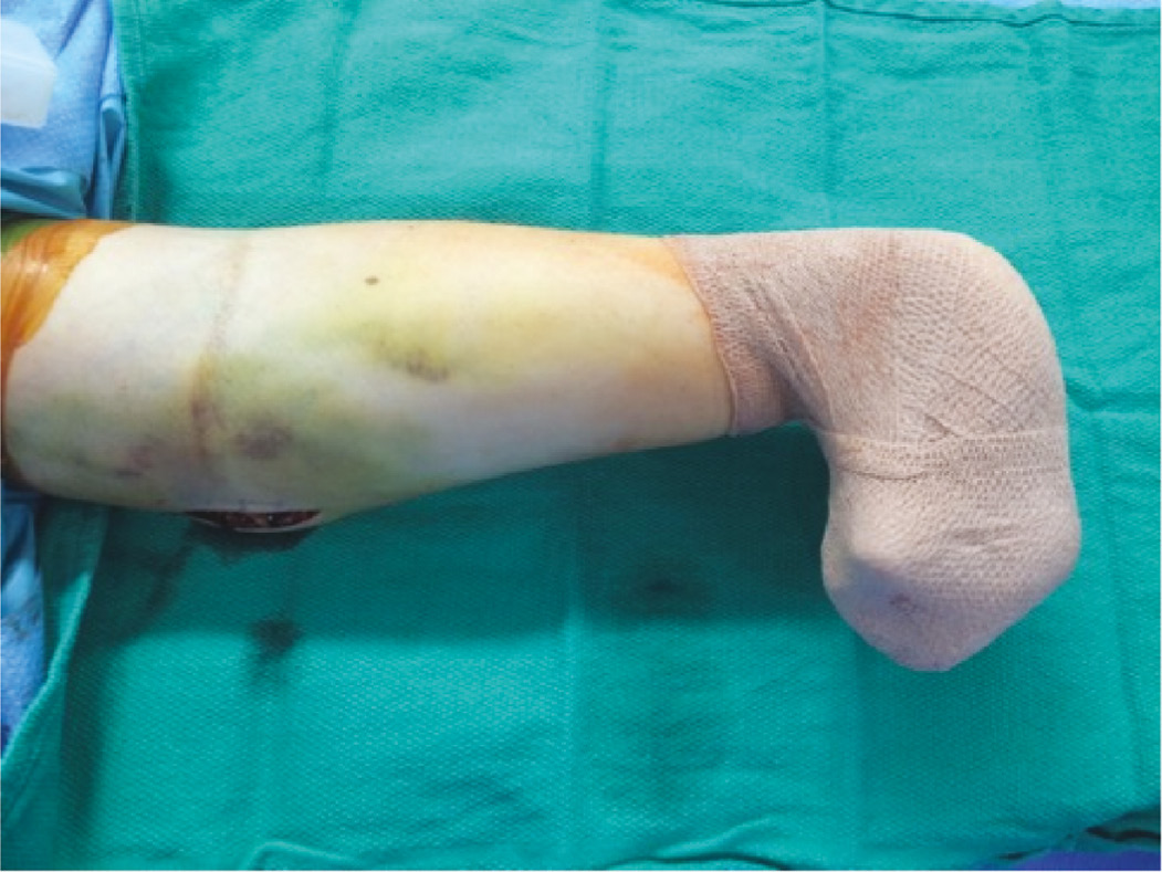 jposna20220081_fig3.jpg