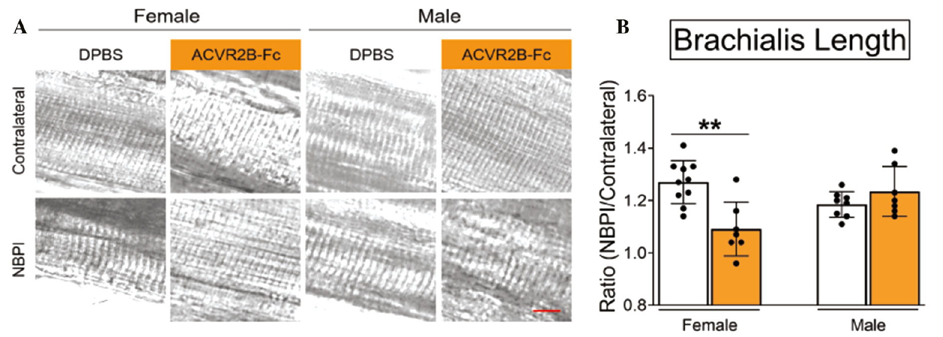 jposna20220046_fig3.jpg