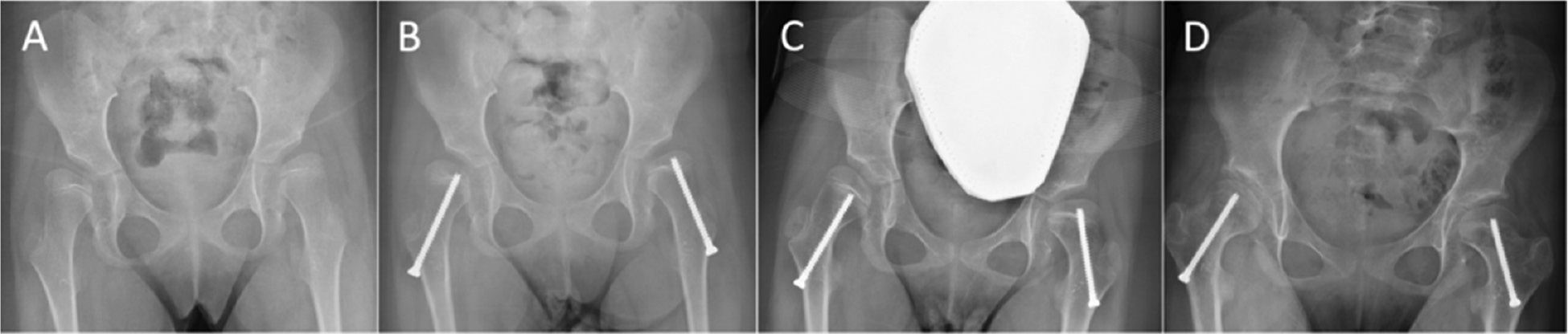 jposna20220072_fig1.jpg