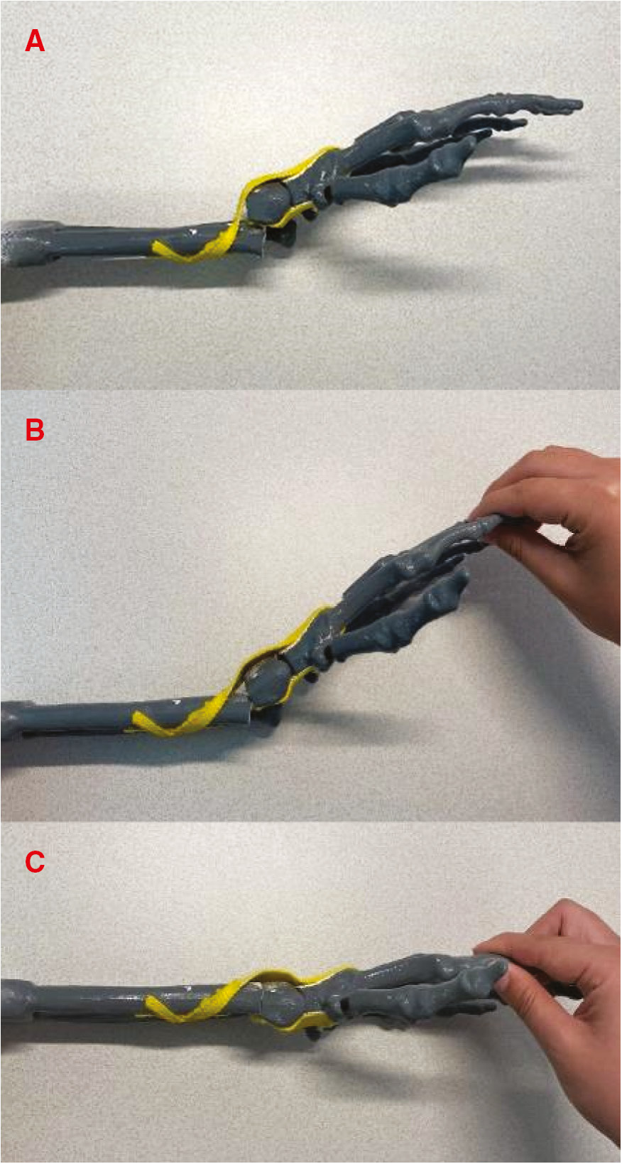 jposna20220069_fig4.jpg