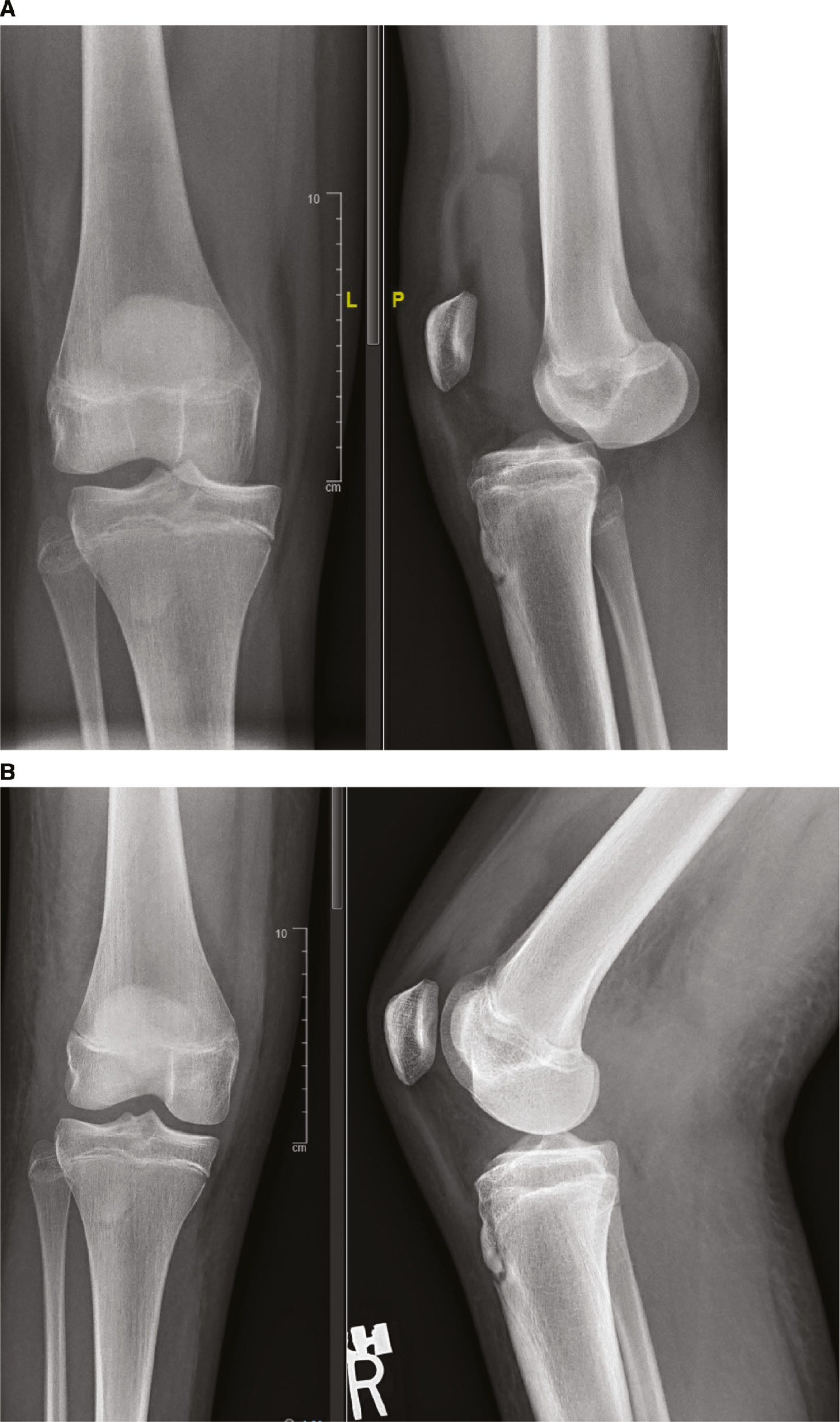 jposna20220088_fig2.jpg