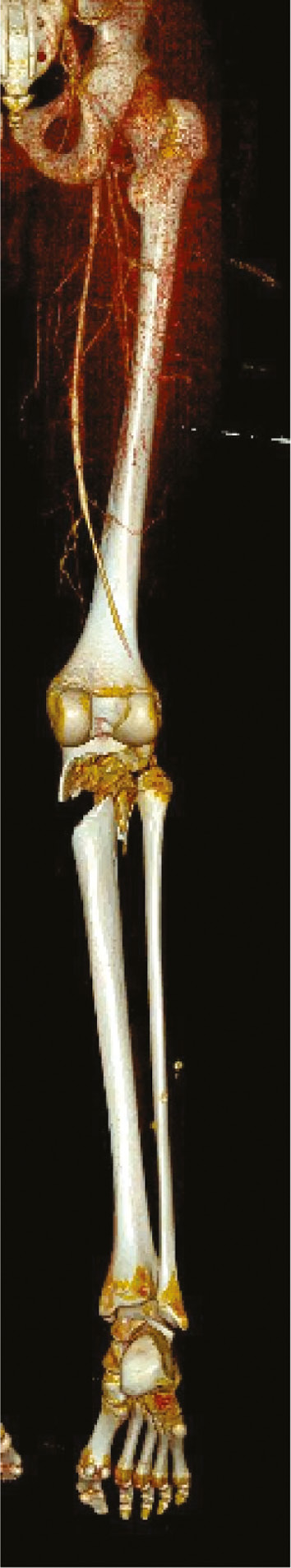 jposna20220088_fig3.jpg