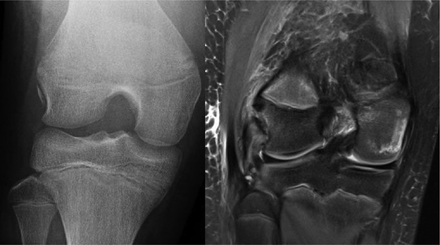 jposna20220088_fig4.jpg