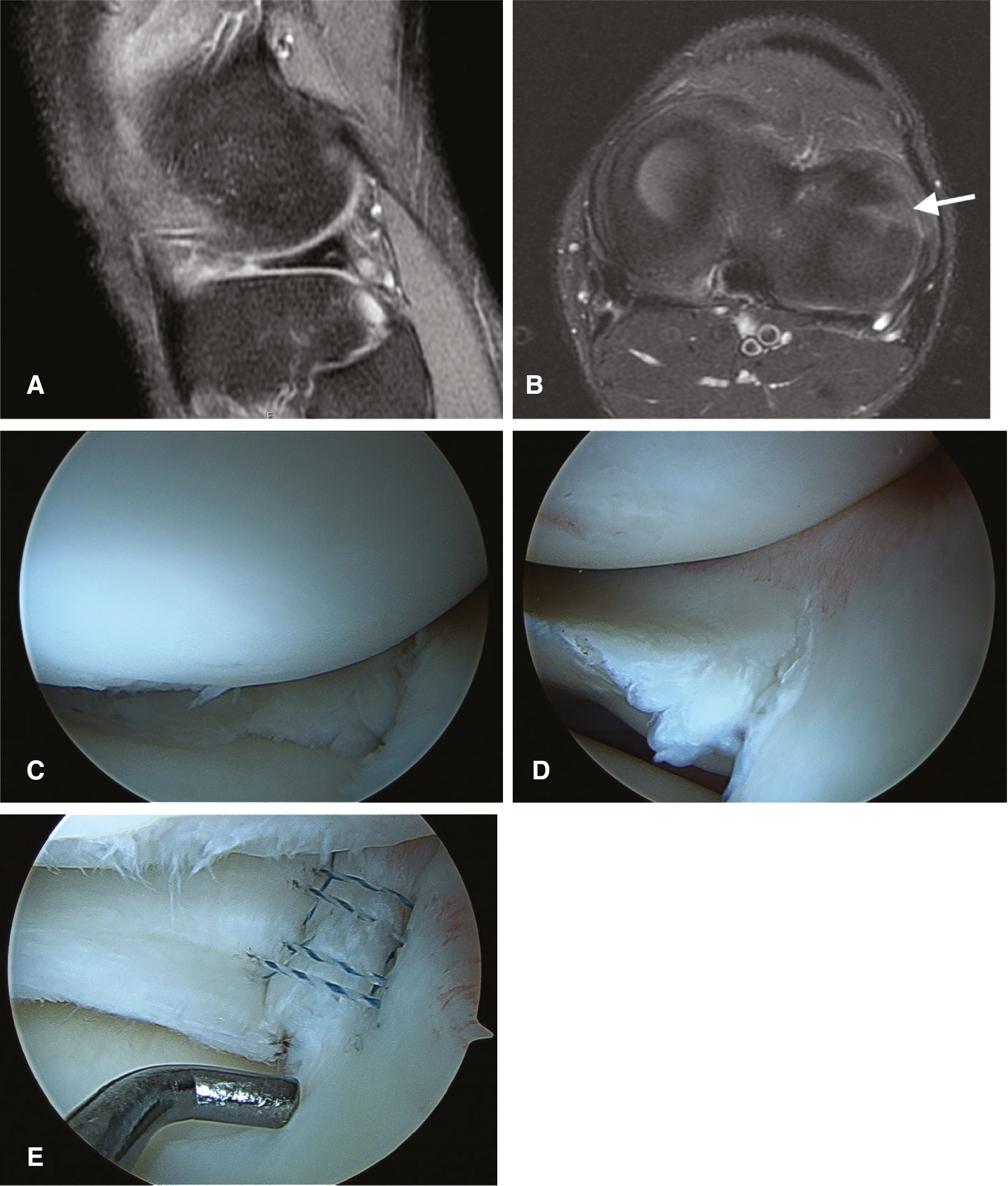jposna2023563_fig1.jpg