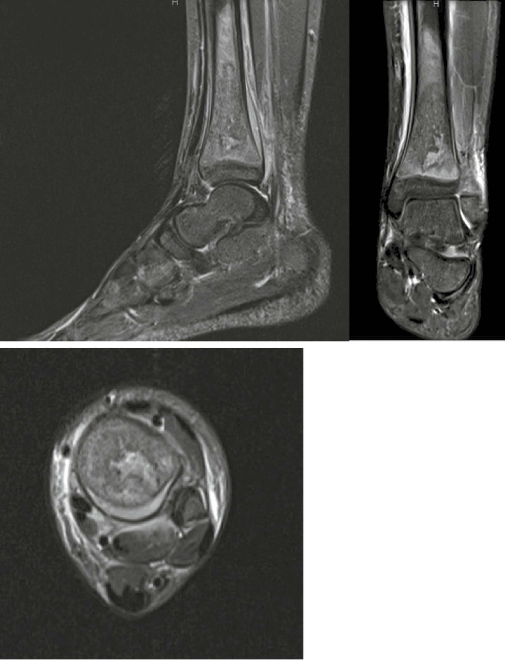 jposna2022570_fig6.jpg