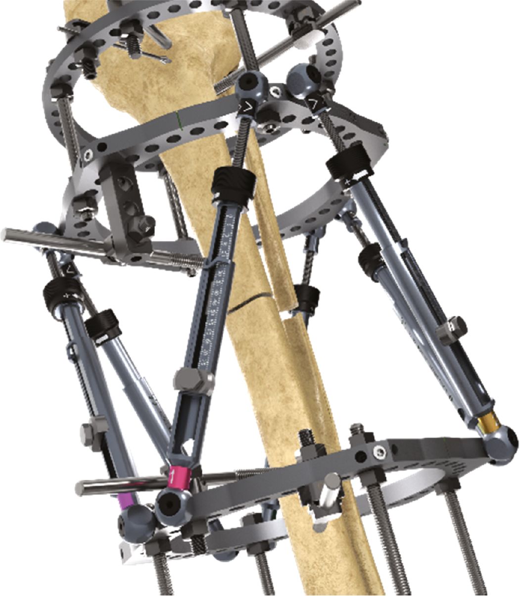 jposna2023627_fig3.jpg