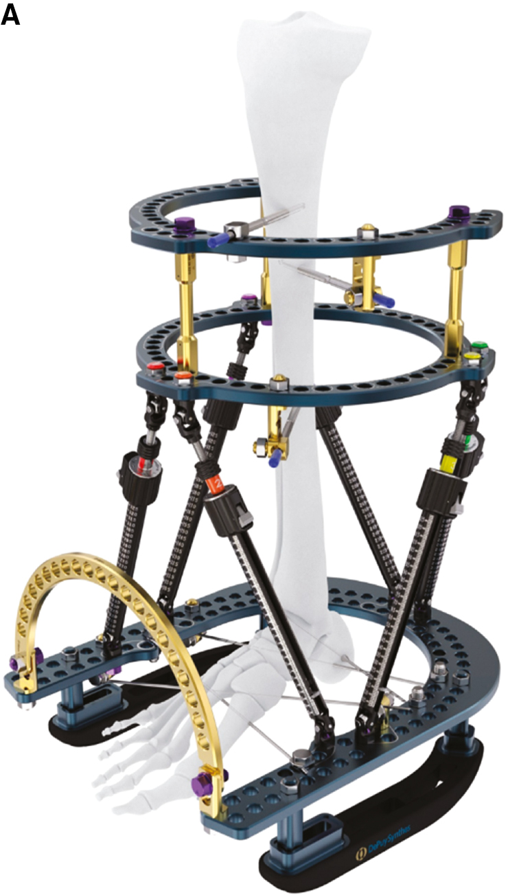 jposna2023627_fig6a.jpg