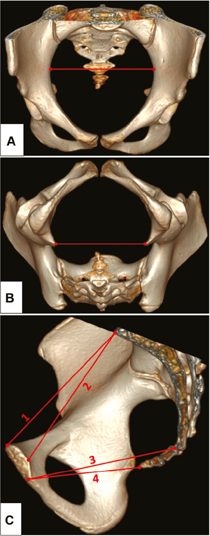 jposna2023643_fig3.jpg