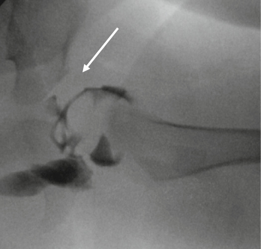 jposna2023650_fig8.jpg