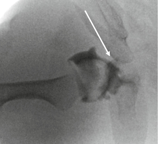 jposna2023650_fig9.jpg
