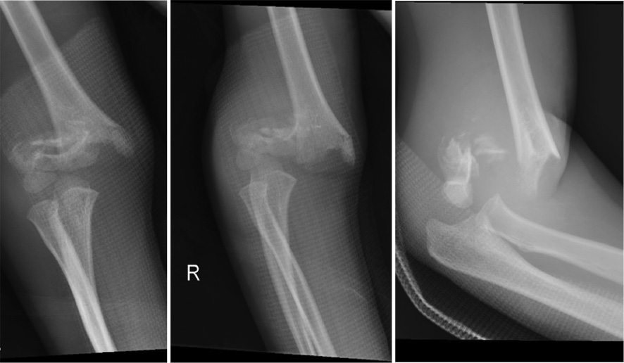 jposna2023665_fig1.jpg
