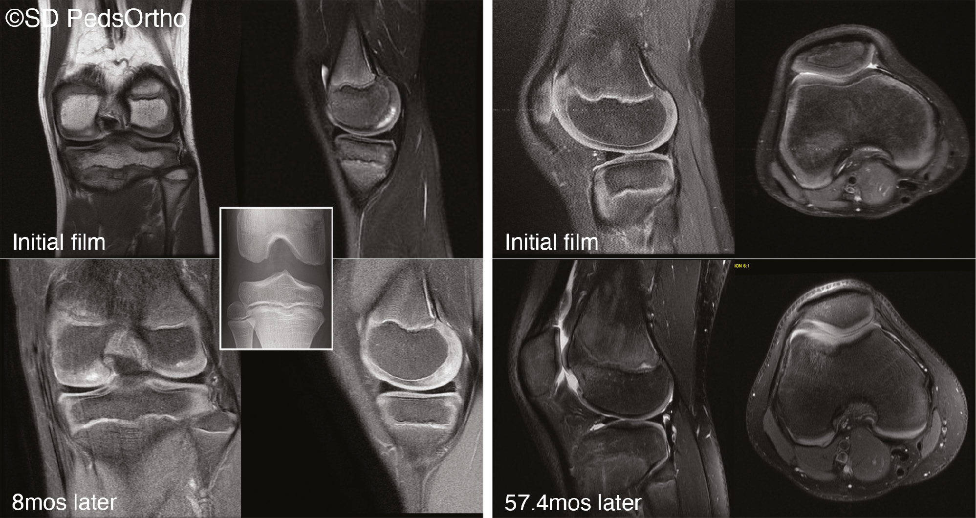 jposna2023677_fig9.jpg