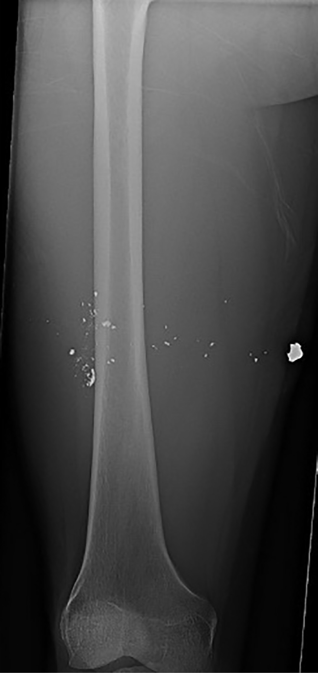 jposna2023683_fig8.jpg