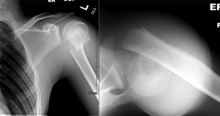 jposna2023703_fig1.jpg