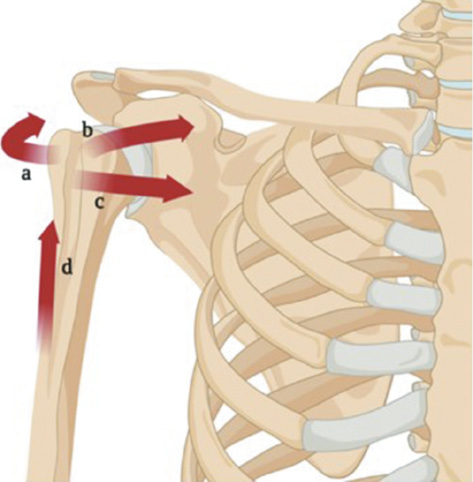 jposna2023703_fig2.jpg