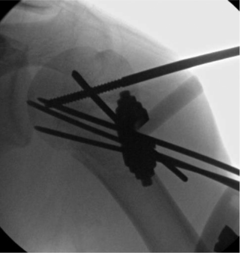 jposna2023703_fig11.jpg