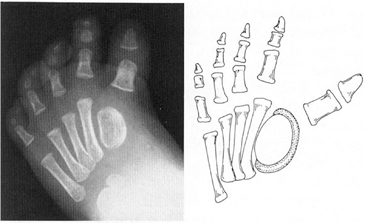 jposna2023773_fig2.jpg