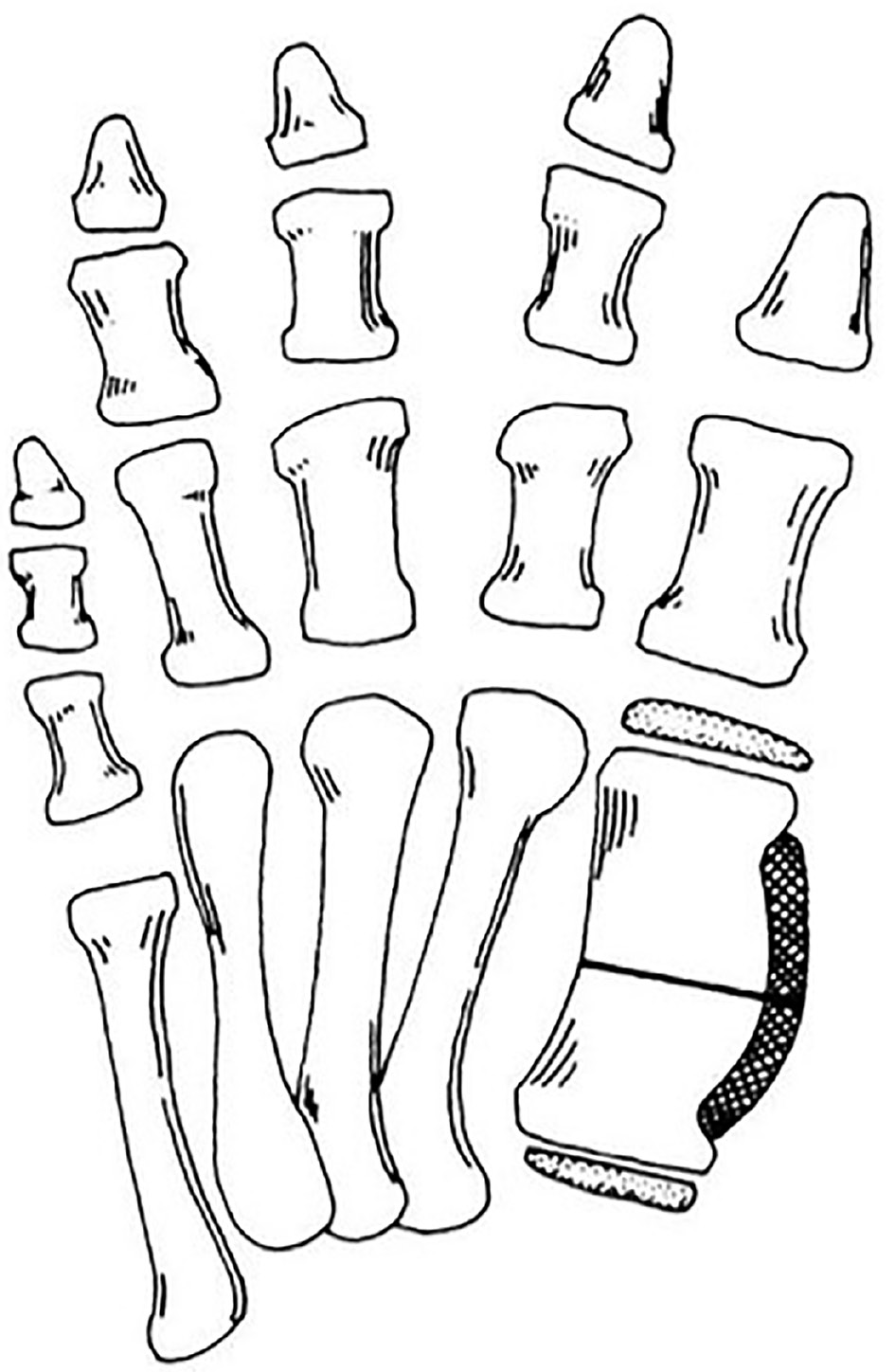 jposna2023773_fig5.jpg